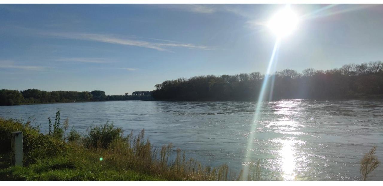 דירות Altlussheim Urlaub Am Rhein Speyer Hockenheim מראה חיצוני תמונה